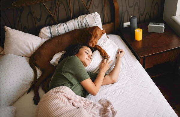 White Noise Maker Helping Nighttime Tinnitus Sleep Comfort