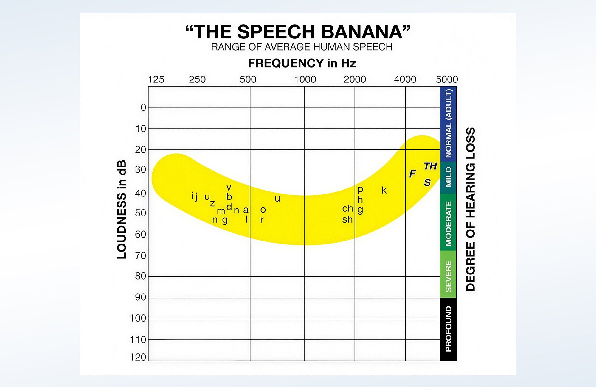 What Is the Speech Banana